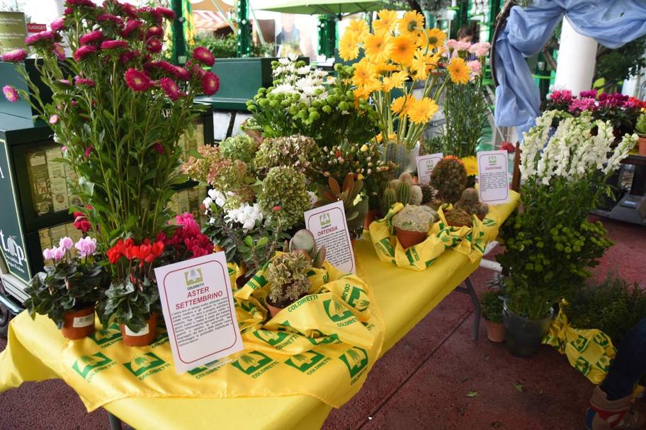 Giornata dei fiori e delle piante organizzata e promossa da Coldiretti (Omnimilano)